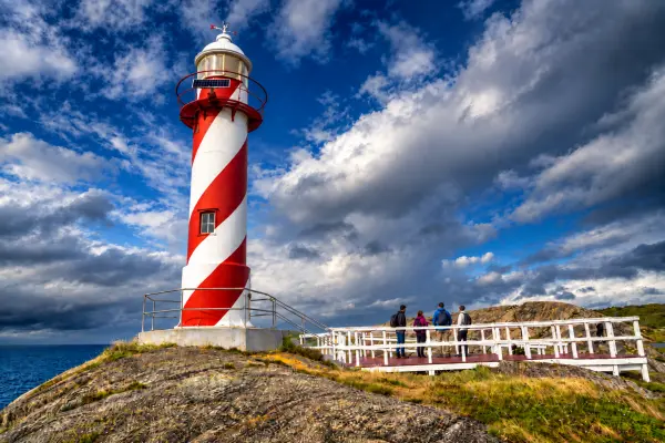 Newfoundland: Icebergs and The Viking Trail